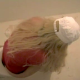 A blonde girl poops while sitting on a toilet, and we get to observe the action from below her ass from a bowlcam perspective. Over 8 minutes.